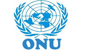 1.Introduccion - Organizacion de las Naciones Unidas (ONU)